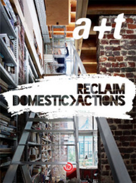 Reclaim Domestic Action (A+T 41)