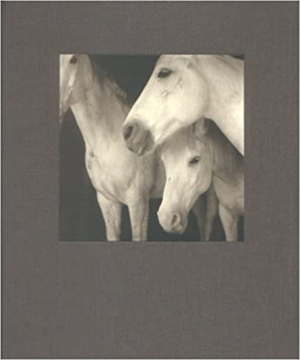 The Journal of Contemporary Photography, Critical and Criticism