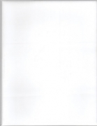 Steve Van Den Bosch - Record