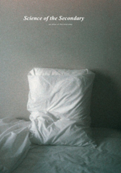 Pillow (Science of the Secondary 18)