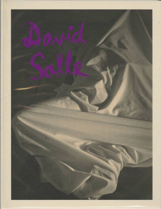 David Salle - Photographs 1980 to 1990