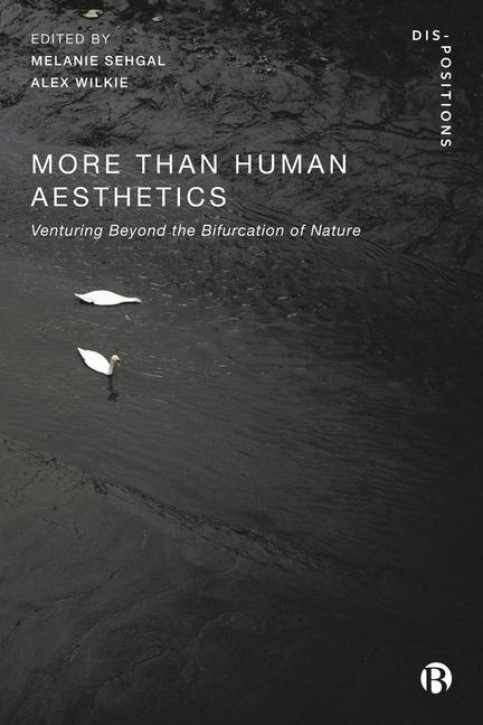 More-Than-Human Aesthetics - Venturing Beyond the Bifurcation of Nature
