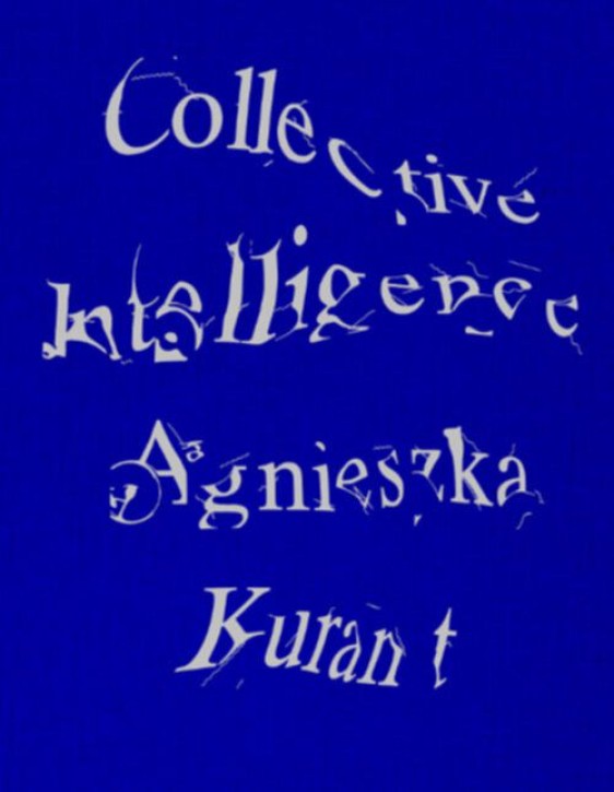 Agnieszka Kurant - Collective Intelligence 