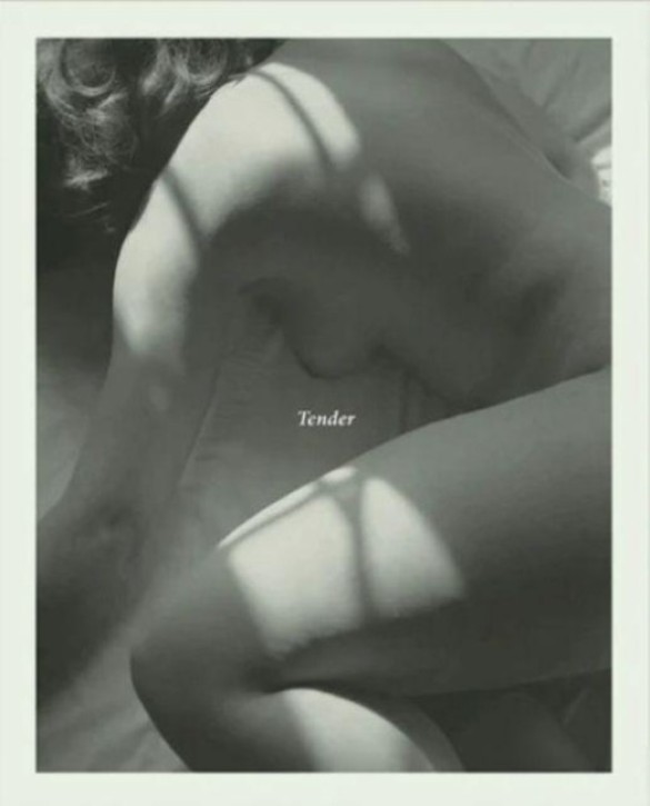 Carla Williams - Tender