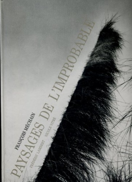 Francois Méchain: Paysages de l´improbable/ Landscape of the improbable