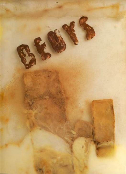 Joseph Beuys - Plastische Bilder 1947-1970