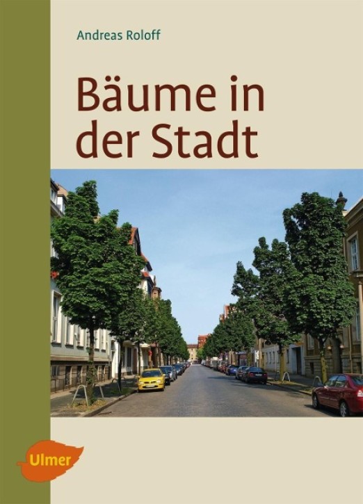 Bäume in der Stadt - Besonderheiten, Funktion, Nutzen, Arten, Risiken