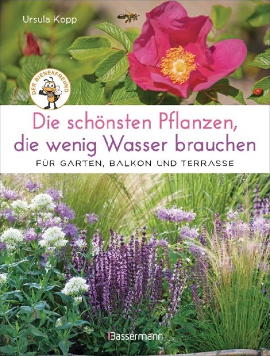 Die schönsten Pflanzen, die wenig Wasser brauchen