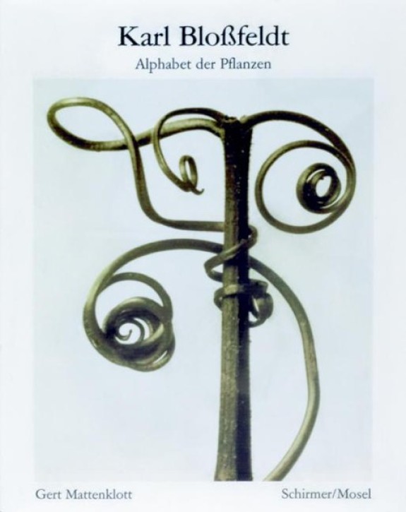 Karl Bloßfeldt - Alphabet der Pflanzen