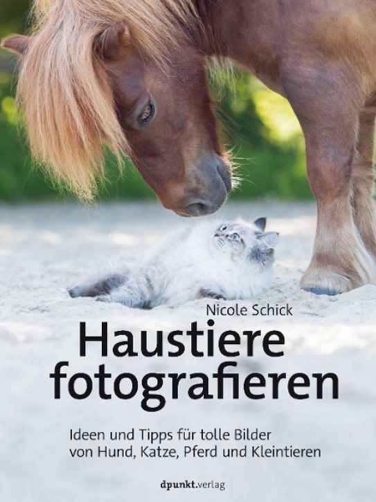 Haustiere fotografieren - Ideen und Tipps für tolle Bilder von Hund, Katze, Pferd und Kleintieren