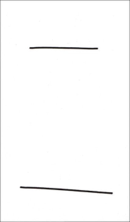 Masanao Hirayama -  Book (9222)