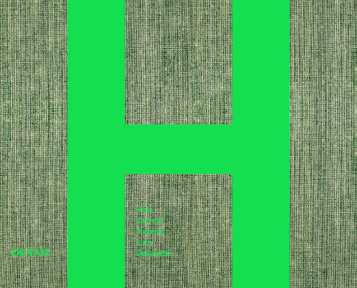Holz - Von der Materie zum Gebauten