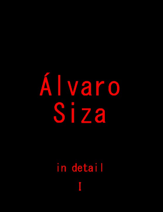 Álvaro Siza in Detail - Volume 1